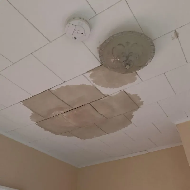 Ceiling Water Damage Repair in Le Mars, IA