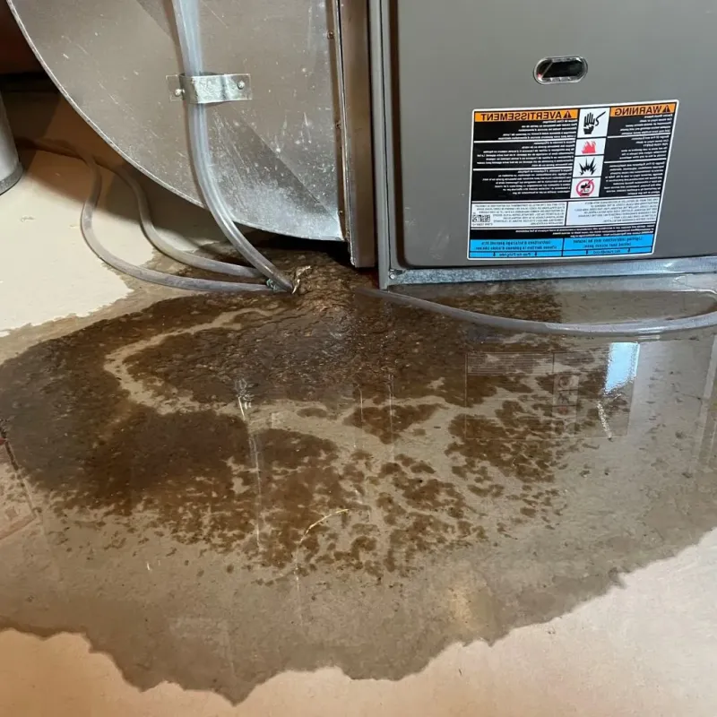 Pipe Burst and Leak Restoration in Le Mars, IA