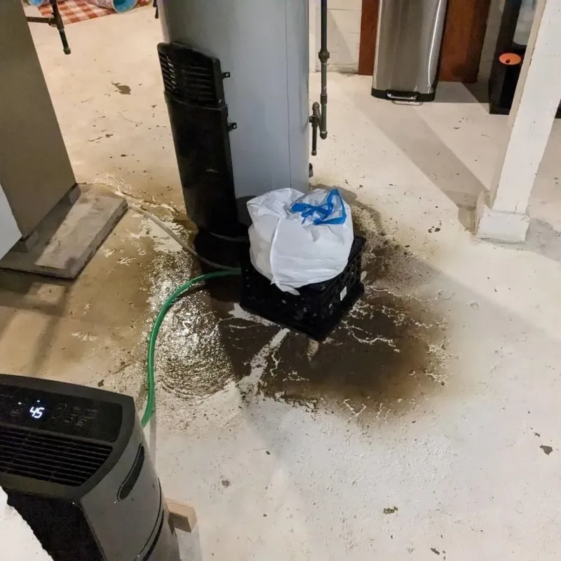 Sewage Backup Cleanup Service in Le Mars, IA